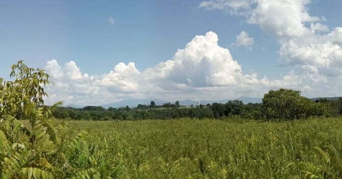 Acupuncture & Yoga Nidra