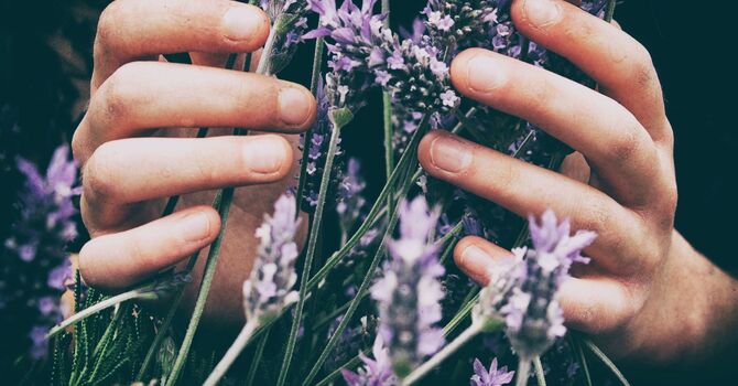 Community Acupuncture