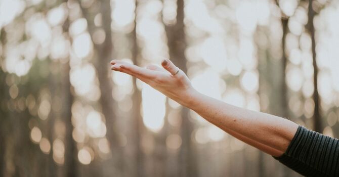 Pay It Forward Program